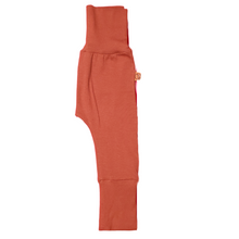 Charger l'image dans la galerie, Pantalon Corduroy rouille